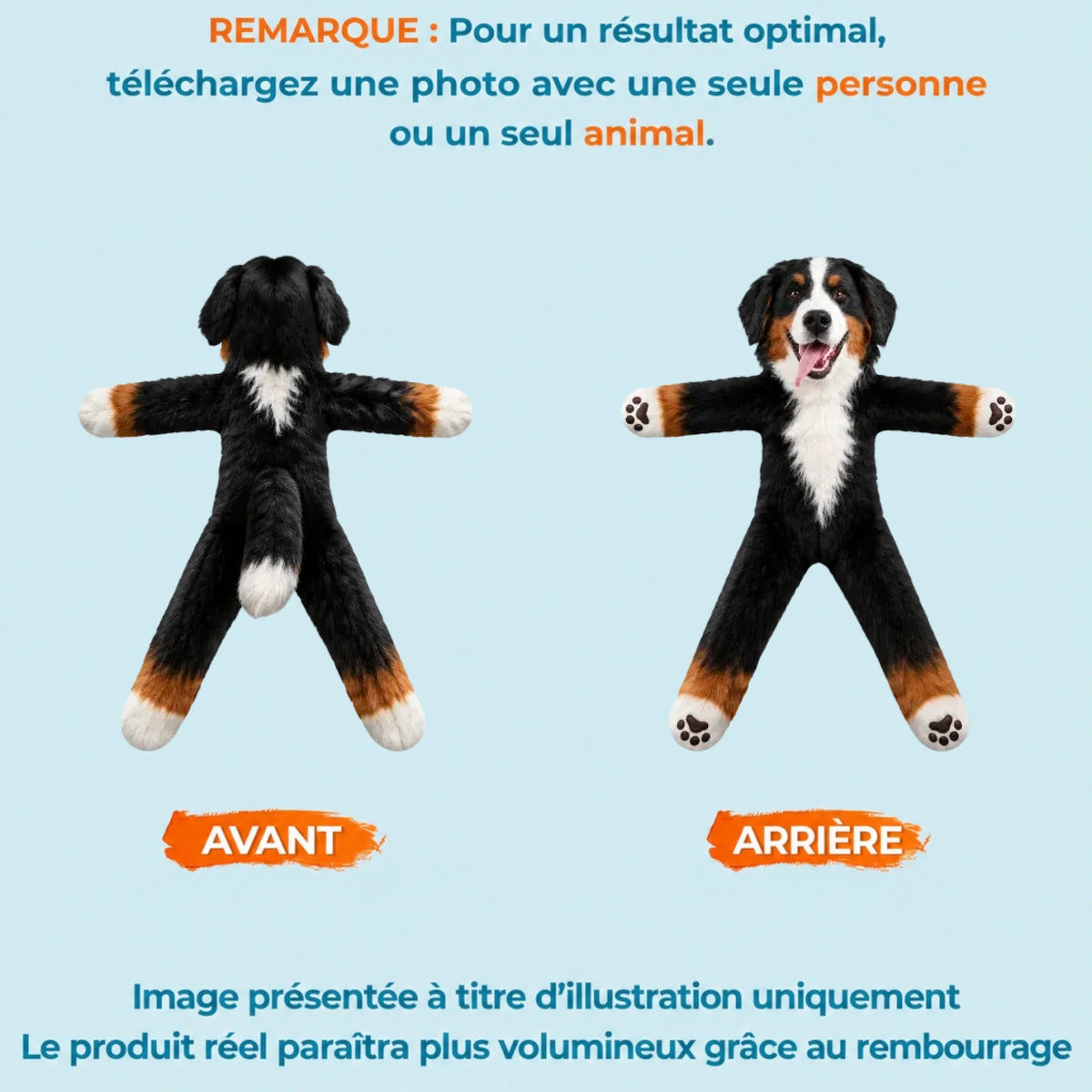 Guide photo avant et arrière (1)